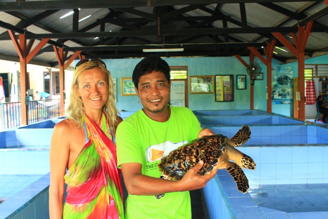 остров черепах Бали