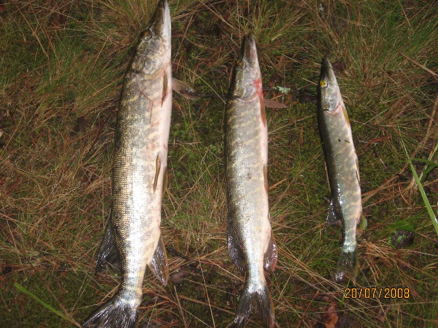рыбалка на северной Ладоге
