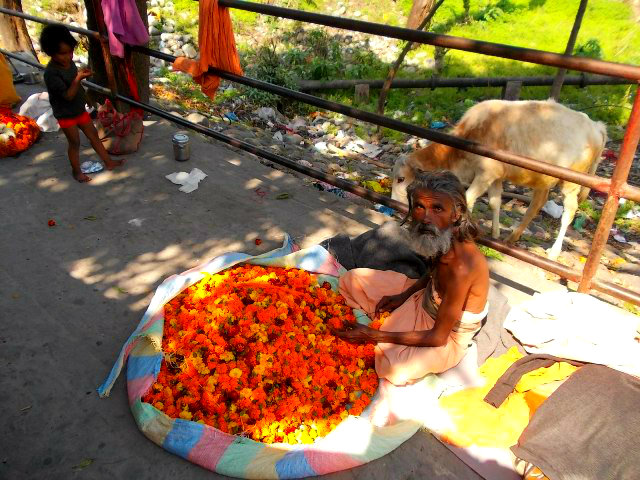 цветочный рынок с индии