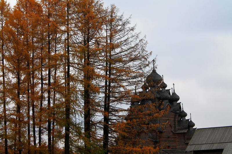 деревянная церковь фото