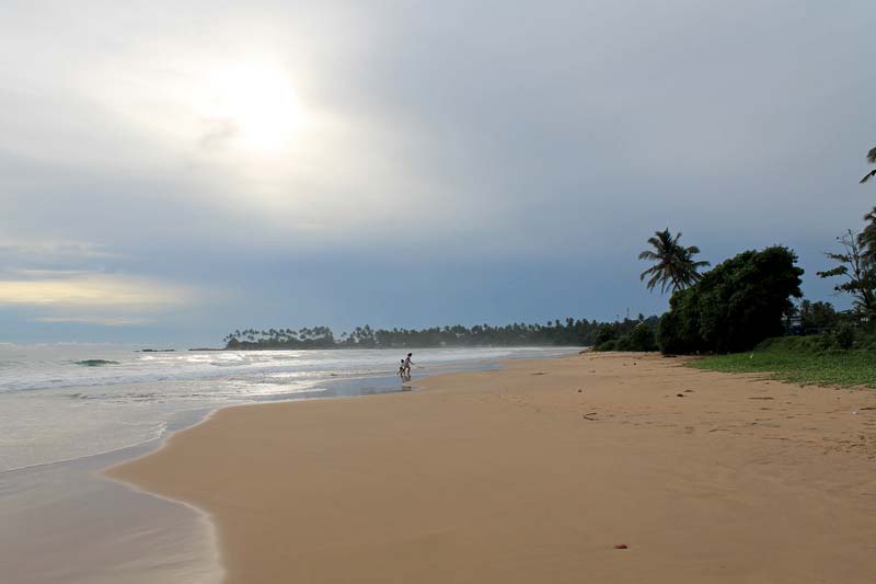 пляж в диквелле фото