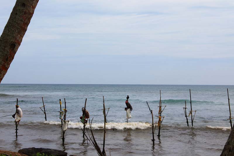 31а-ланкийские-рыбаки
