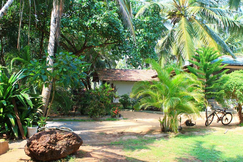 12а-отель-Sri-Lanka-Beach-House