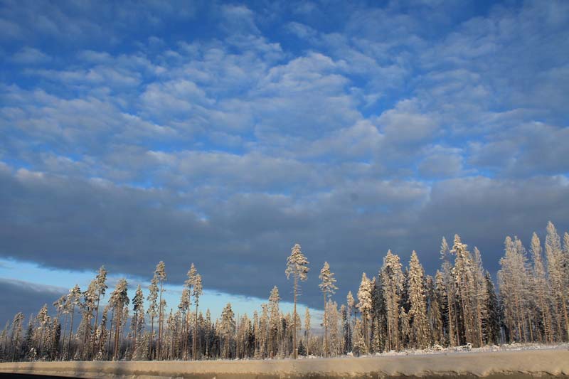 42-карельский-перешеек-зимой-фото