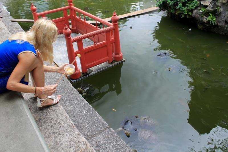 11-покормить-черепах-Бангкок