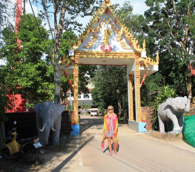 13-Wat-Khlong-Son