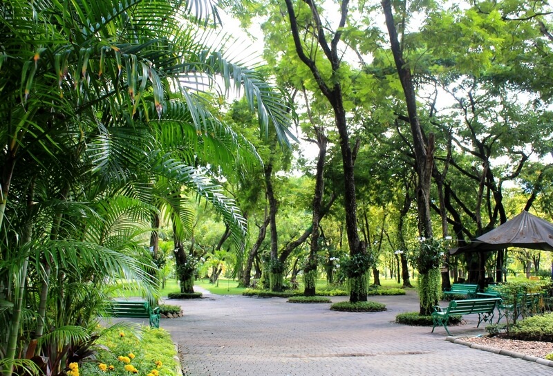 Бангкок парк Люмпини