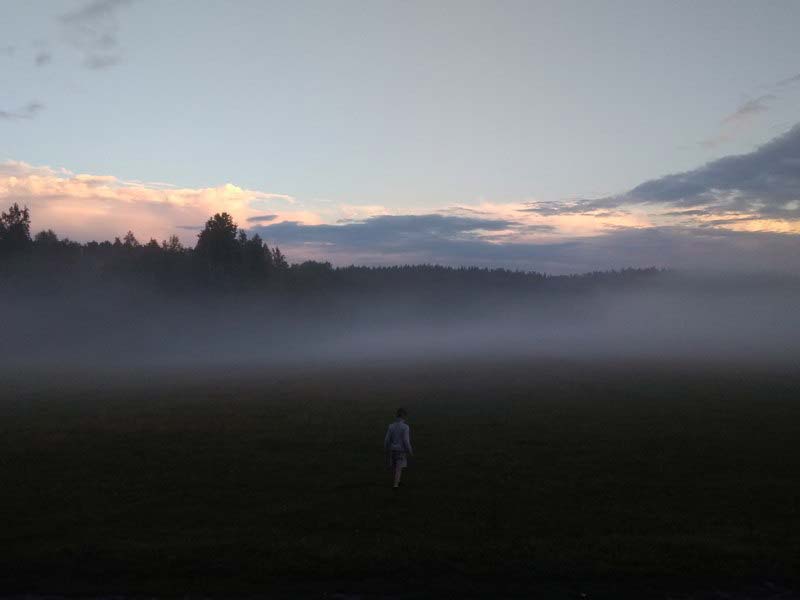 туман над полем