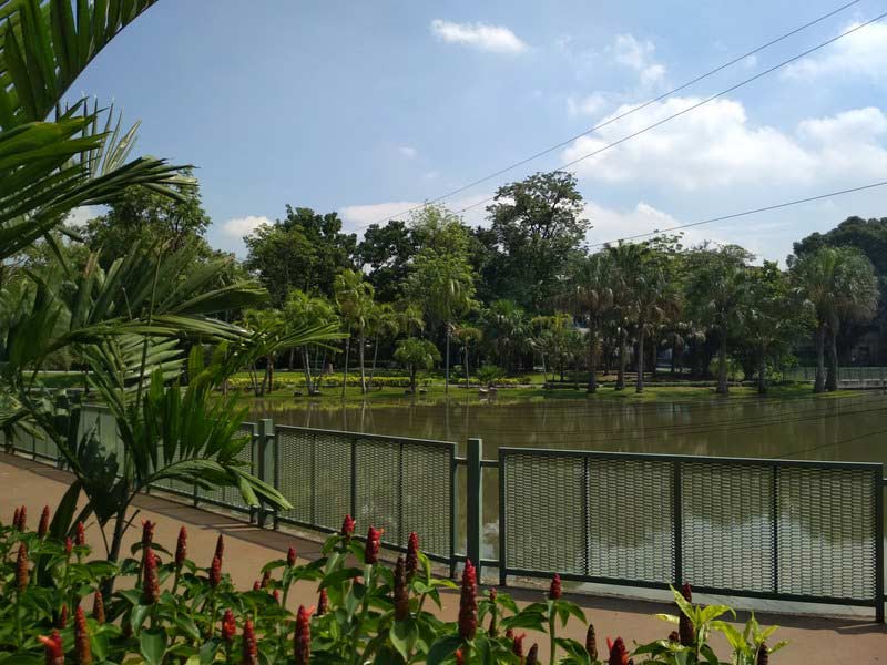 парк-Чатучак-Бангкок