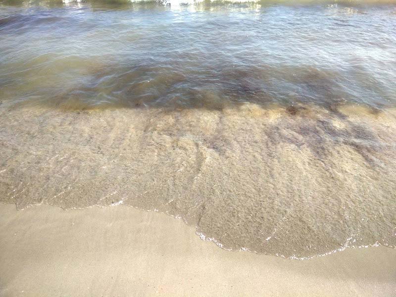 фото-вода-Пляж-Coral